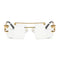 Cartier Tiger Clear (5823)